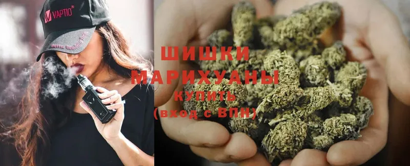 продажа наркотиков  Семилуки  Каннабис SATIVA & INDICA 